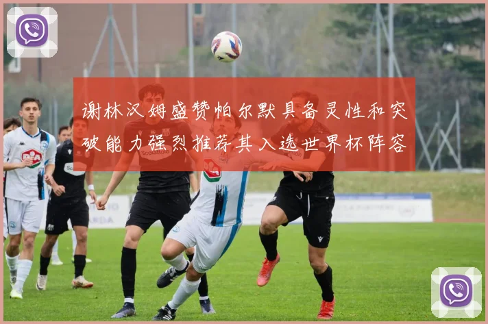 谢林汉姆盛赞帕尔默具备灵性和突破能力强烈推荐其入选世界杯阵容