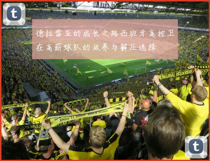 德拉雷亚的成长之路西班牙高控卫在高薪球队的放养与解压选择